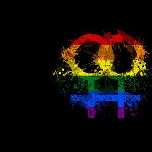 Meet your Posher, Shelby